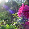 Random shots : Some of my favourites from my archives